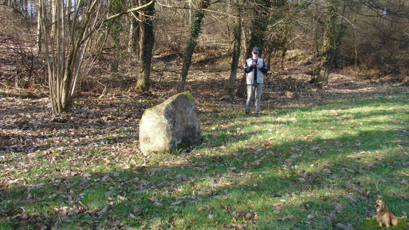 Ritterstein Nr. 217-4 Hier stand der Schwanhof.JPG - Ritterstein Nr.217 Hier stand der Schwanhof